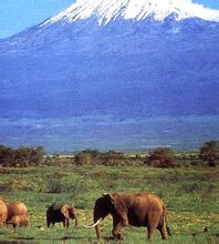 Национални парк Килиманџаро