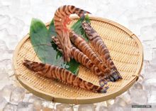 Јапански шкампи