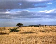 Нгоронгоро резерват природе